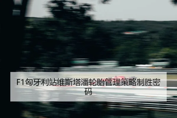 xiong-ya-li-zhan-wei-si-ta-pan-lun-tai-guan-li-ce-lve-zhi-sheng-mi-ma-2-302.jpg